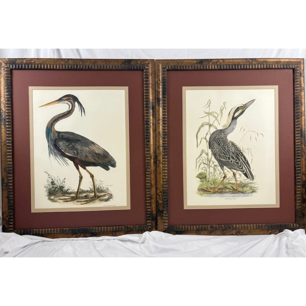 Set 2 Vintage Framed Heron Bird Prints Audubon Style Art Grandmillennial Decor